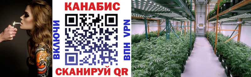 МАРИХУАНА SATIVA & INDICA  закладки  Велиж 